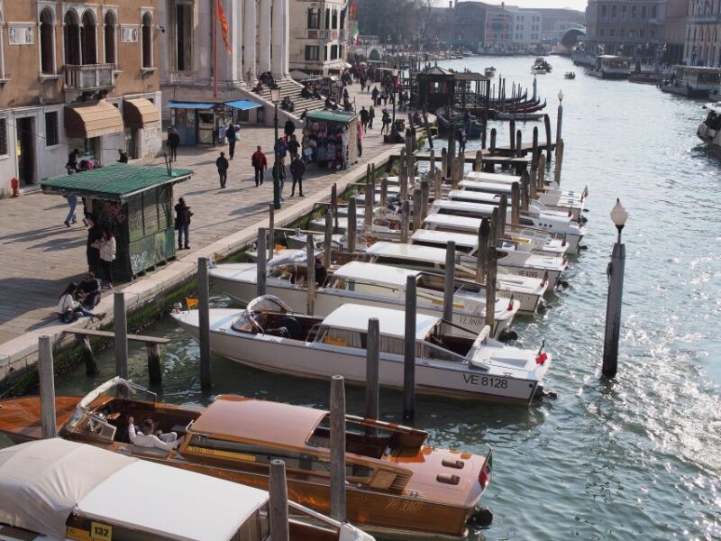 From Lake Garda: Full-Day Guided Group Tour of Venice - Customer Experience and Reviews
