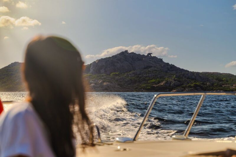 From Lake Maggiore: Private Boat Tour With Pickup/Drop-Off - Itinerary and Highlights