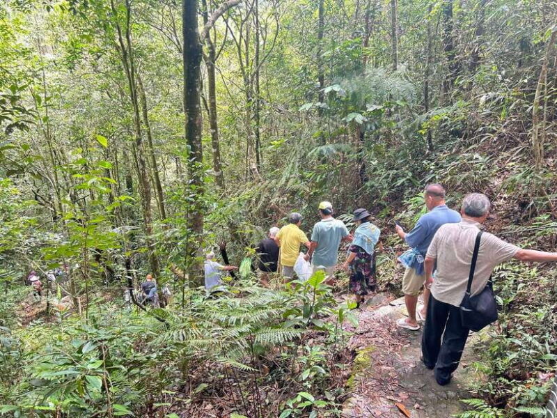 From Lang Co Beach/ Chan May Port: Bach Ma Trekking Tour - English-Speaking Tour Guide