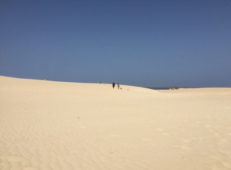From Lanzarote: Fuerteventura Day Trip - Historic Village of La Oliva