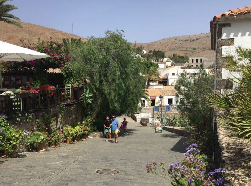 From Lanzarote: Fuerteventura Day Trip - Booking Information