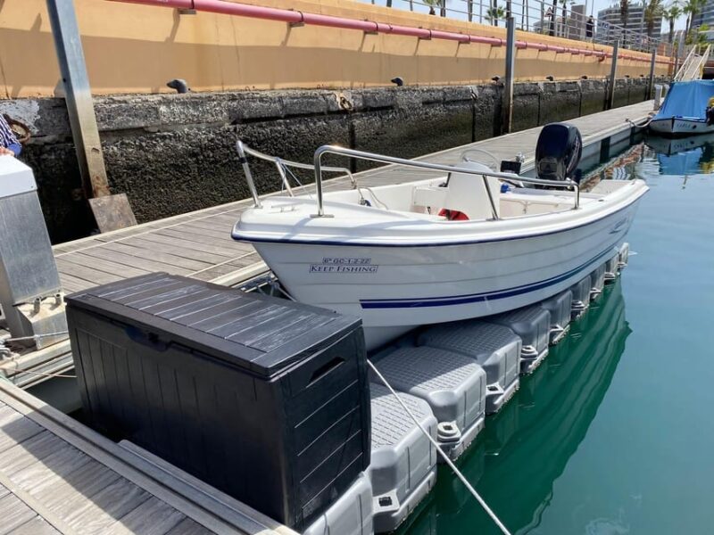 From Las Palmas : Day Sailing Experience Along the Coast - Experience Highlights