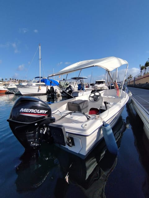From Las Palmas : Day Sailing Experience Along the Coast - Trip Details and Amenities