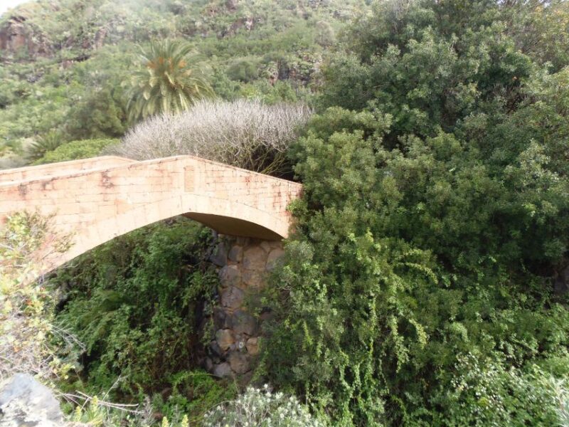 From Las Palmas: Full-Day Tour of the North - Customer Ratings