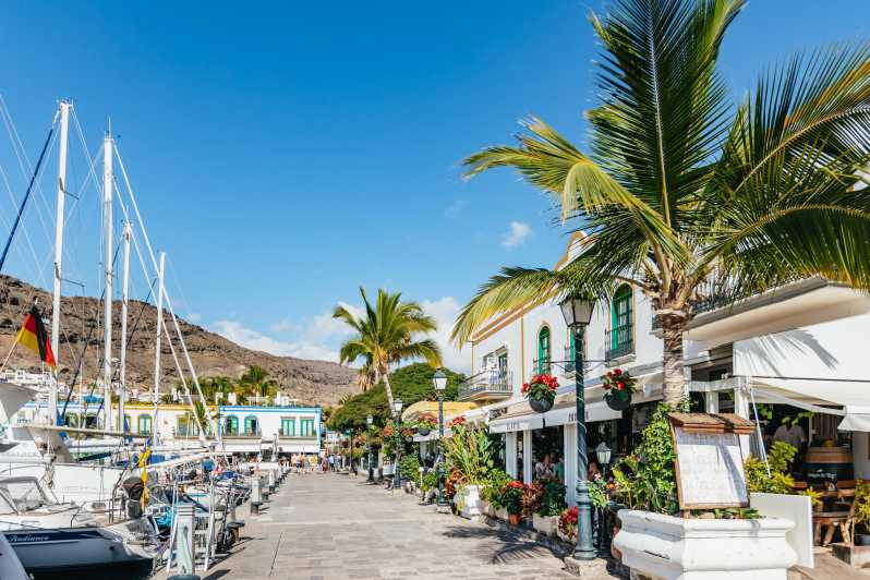 From Las Palmas: Highlights of Gran Canaria Day Tour - Discovering the Maspalomas Dunes