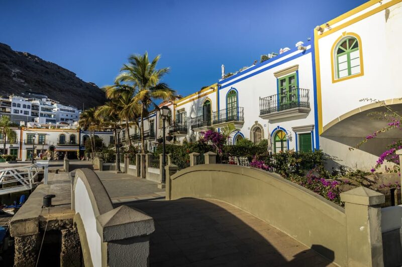 From Las Palmas/Maspalomas: Fataga, Aloe Vera Farm, and Puerto De Mogán. - Key Points