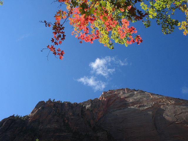 From Las Vegas: 3-Day Trip to Bryce, Zion, and Grand Canyon - Navajo Cultural Immersion
