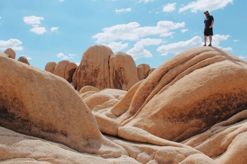 From Las Vegas: 4-Day Hiking and Camping in Joshua Tree - Key Points