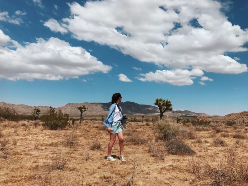 From Las Vegas: 4-Day Hiking and Camping in Joshua Tree - Experience Highlights