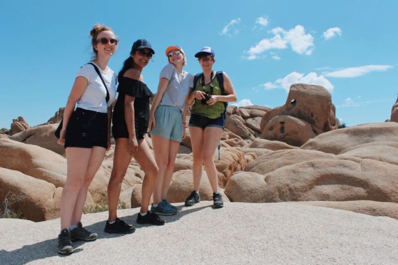 From Las Vegas: 4-Day Hiking and Camping in Joshua Tree - Discovering Teddy Bear Cholla Garden