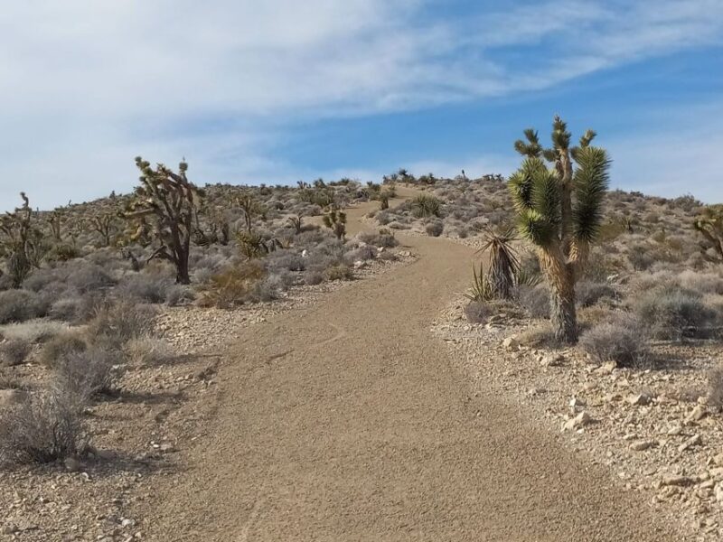 From Las Vegas: ATV Off-Road Adventure With Transfer Shuttle - Pricing and Booking