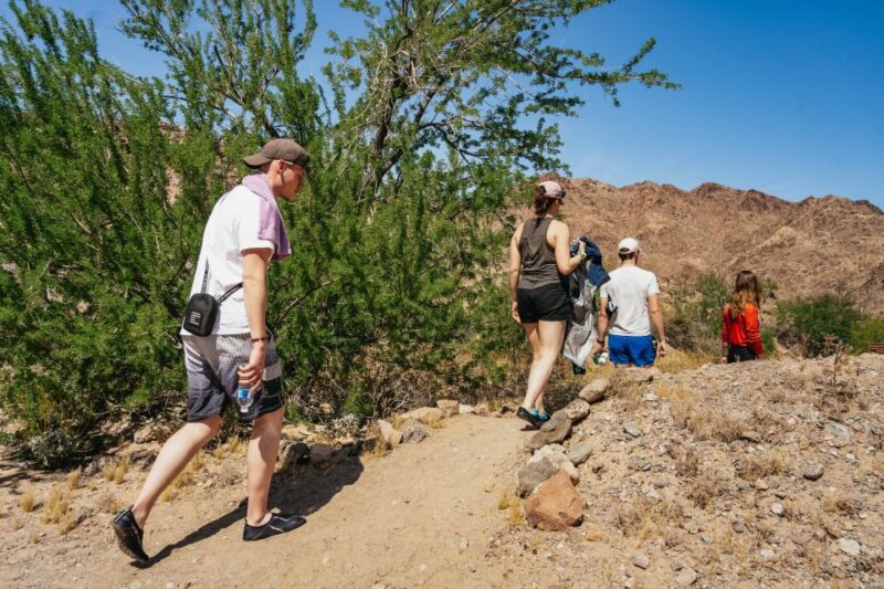 From Las Vegas: Black Canyon Half-Day Kayak Tour - Group Size and Guide