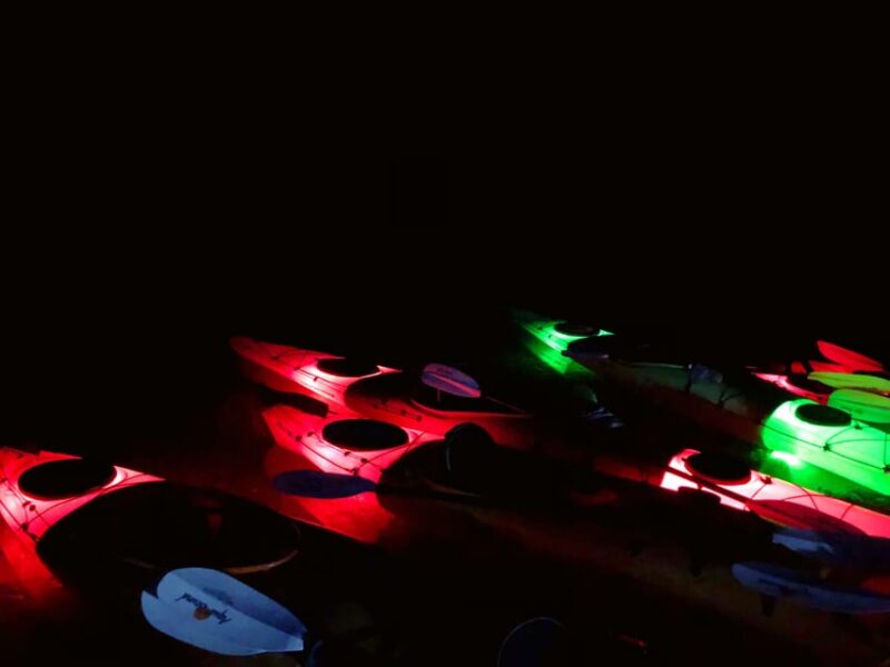 From Las Vegas: Black Canyon Twilight Kayak Tour - Key Points
