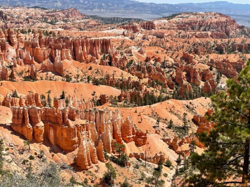 From Las Vegas: Bryce Canyon & Zion National Park Day Trip - Included Amenities