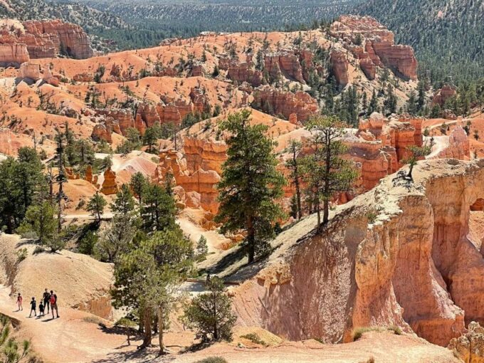 From Las Vegas: Bryce Canyon & Zion National Park Day Trip - Scenic Lookout Points of Zion National Park