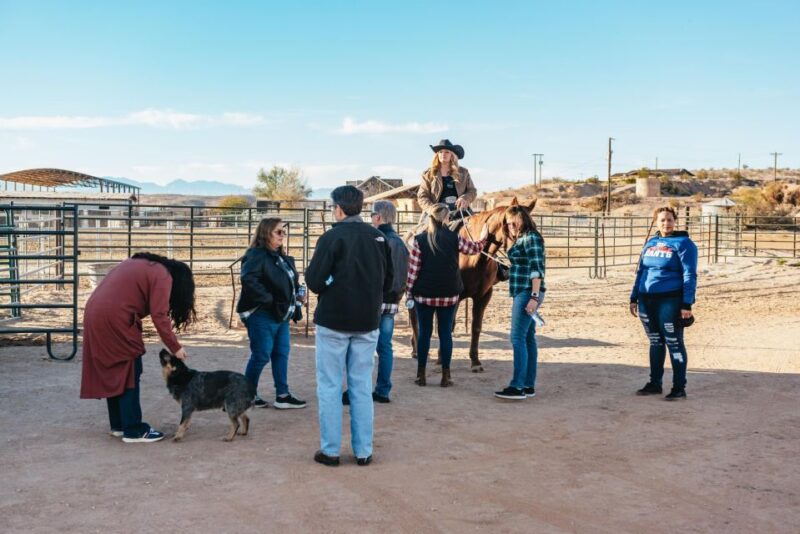 From Las Vegas: Desert Sunset Horseback Ride With BBQ Dinner - Inclusions and Exclusions