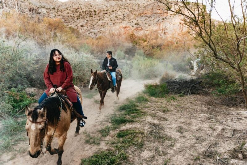 From Las Vegas: Desert Sunset Horseback Ride With BBQ Dinner - Customer Reviews and Ratings