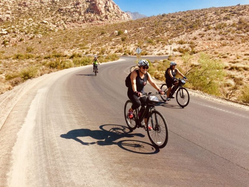 From Las Vegas: Red Rock Canyon Electric Bike Hire - Transportation and Logistics