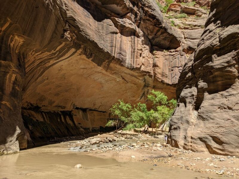 From Las Vegas: Zion National Park Small Group Adventure - Key Points