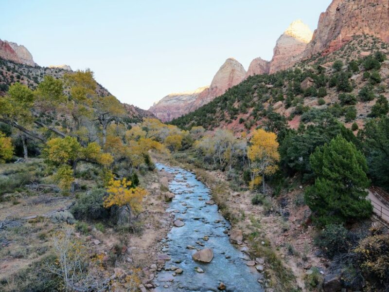 From Las Vegas: Zion National Park Small Group Adventure - Inclusions and Requirements