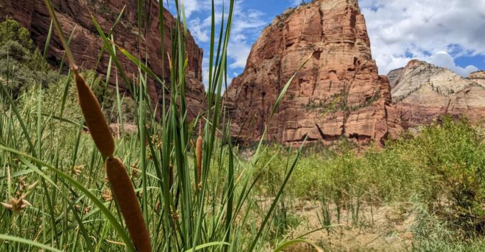 From Las Vegas: Zion National Park Small Group Adventure - Refund and Flexibility Policies
