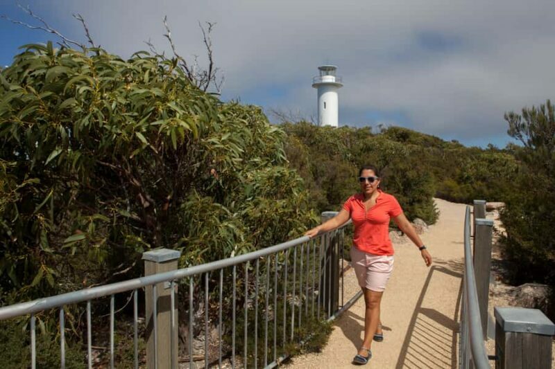 From Launceston: Full-Day Wineglass Bay Explorer Active Tour - Key Points