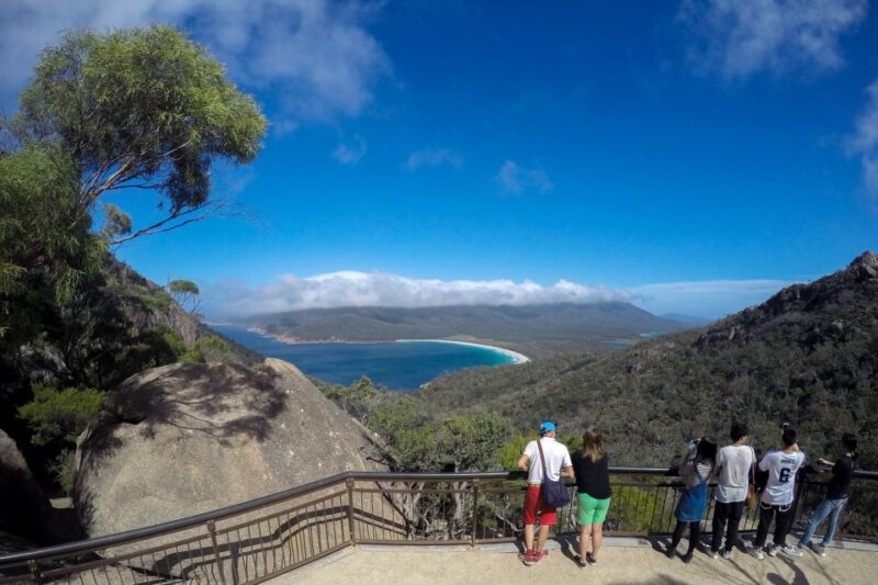 From Launceston: Full-Day Wineglass Bay Explorer Tour - Swimming, Relaxing, and Dolphin Spotting