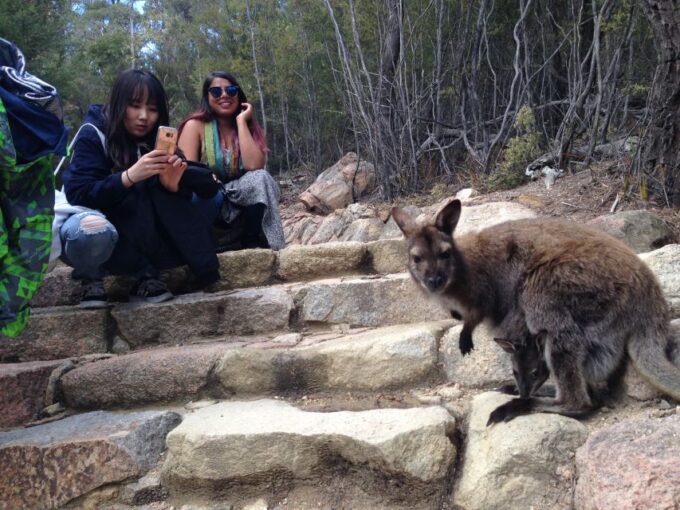 From Launceston: Full-Day Wineglass Bay Explorer Tour - Visit Devils Corner Winery