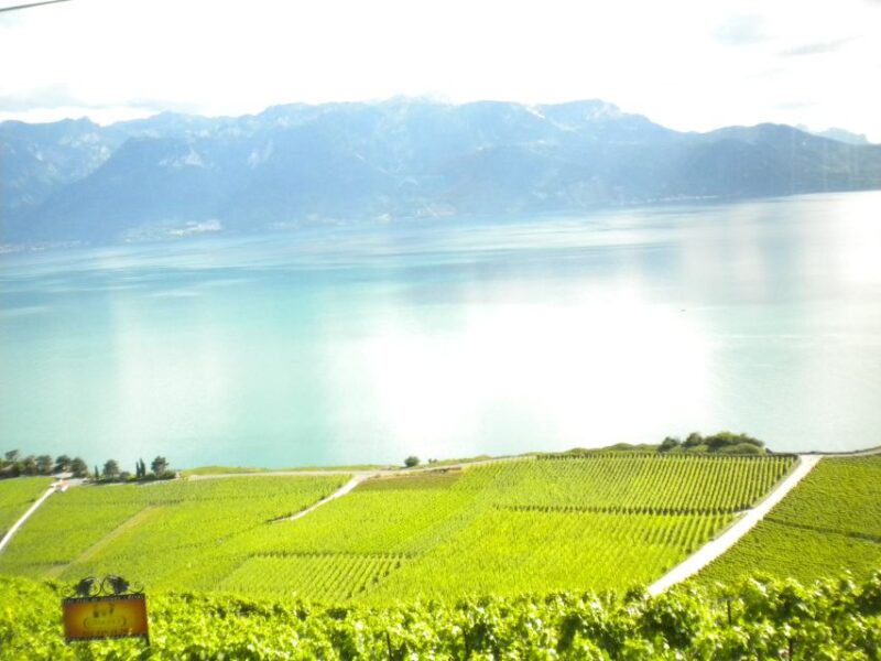 From Lausanne: Swiss Riviera Tour - Highlights of the Day