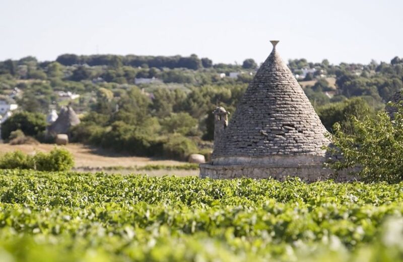 From Lecce: Full-Day Valle Ditria Tour With Guide - Key Points