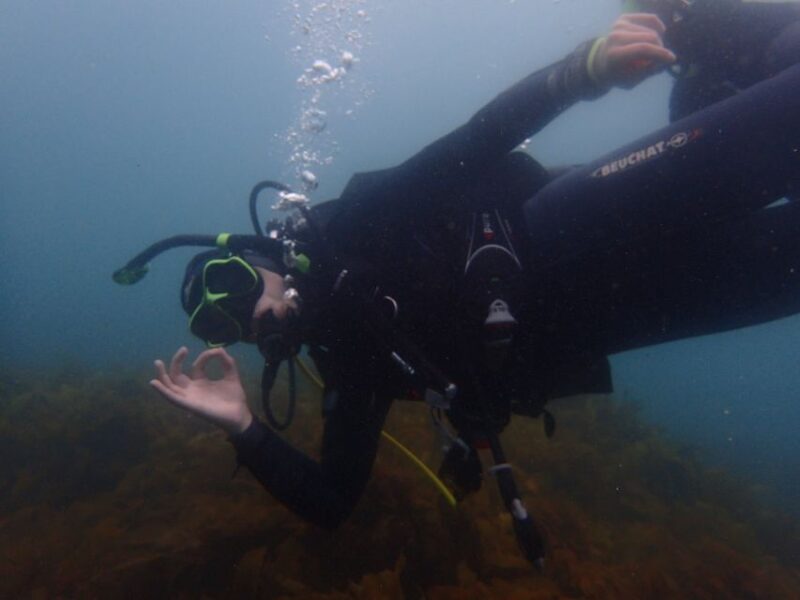 From Leigh: Goat Island Try Scuba Diving Experience - Inclusions