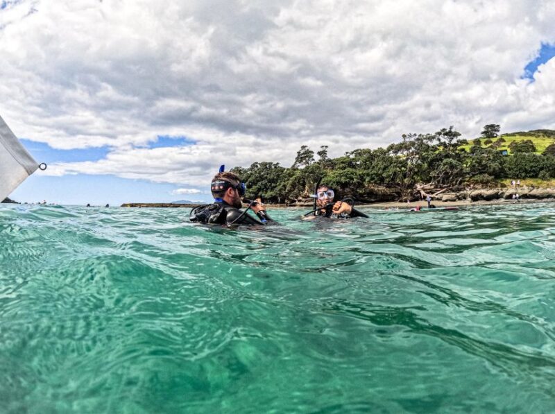 From Leigh: Goat Island Try Scuba Diving Experience - Participant Requirements