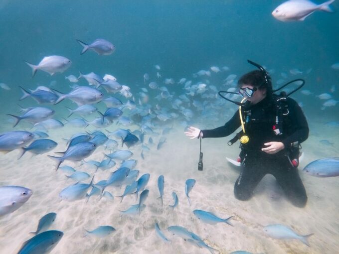 From Leigh: Goat Island Try Scuba Diving Experience - Getting to Goat Island