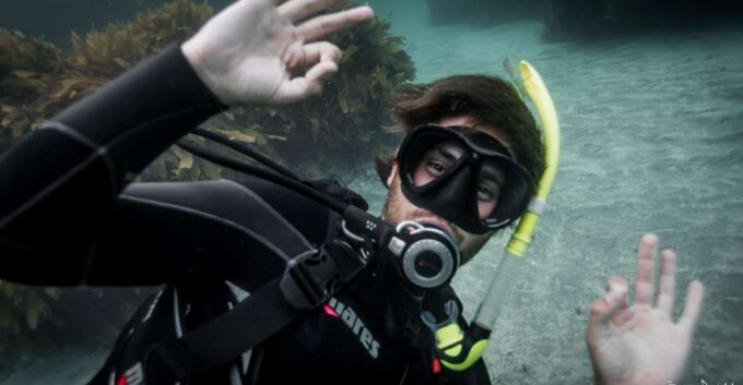 From Leigh: Goat Island Try Scuba Diving Experience - What to Expect