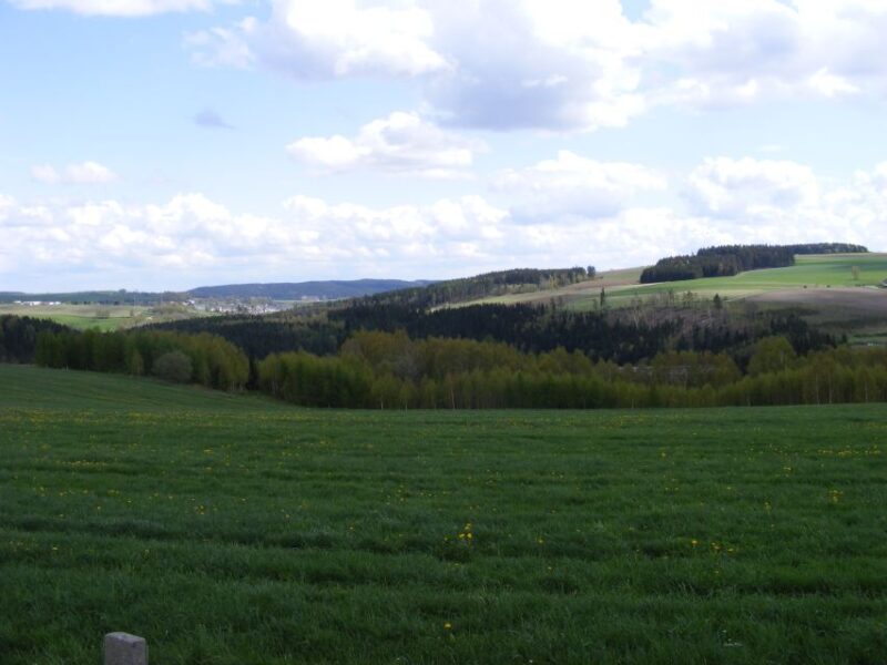 From Leipzig: Day Tour to the Green Belt - Itinerary Highlights
