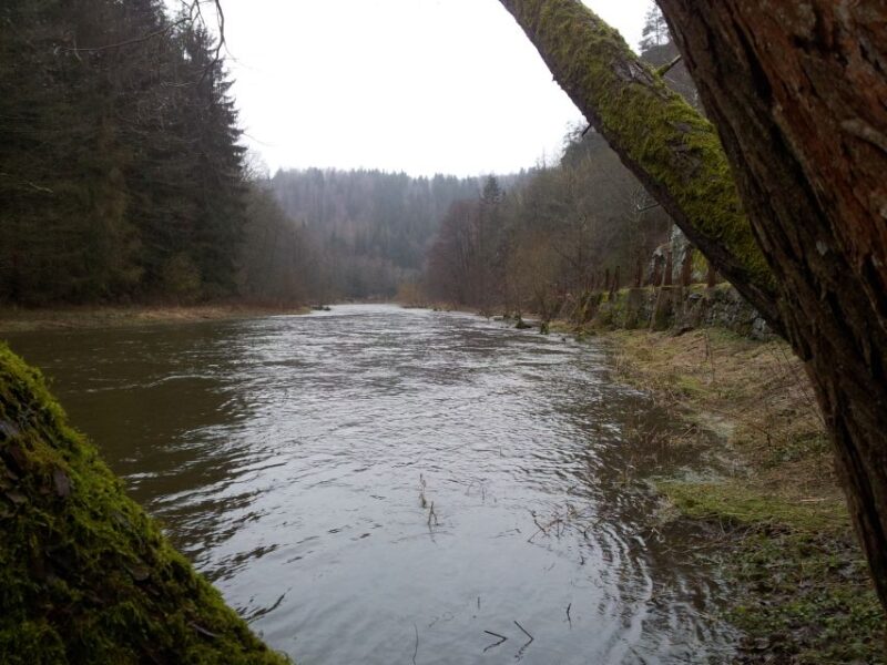 From Leipzig: Day Tour to the Green Belt - Customer Feedback