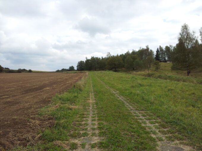 From Leipzig: Day Tour to the Green Belt - Explore Gustav Adolfs Hometown