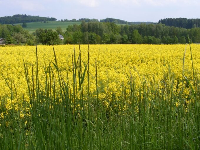From Leipzig: Day Tour to the Green Belt - Discover Möldlaureuths Border History