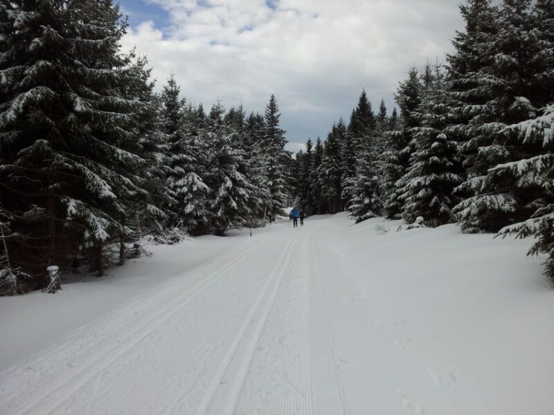 From Leipzig: Return Transfer to Fichtelberg Ski Run - Transfer Service Details