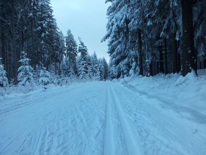 From Leipzig: Return Transfer to Fichtelberg Ski Run - Inclusions