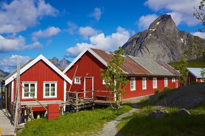 From Leknes Port: Special Summer Guided Tour of Lofoten - Tour Details