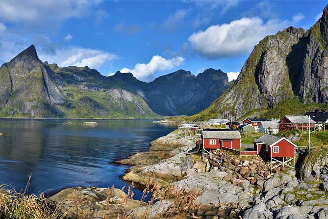From Leknes Port: Special Summer Guided Tour of Lofoten - Booking Information