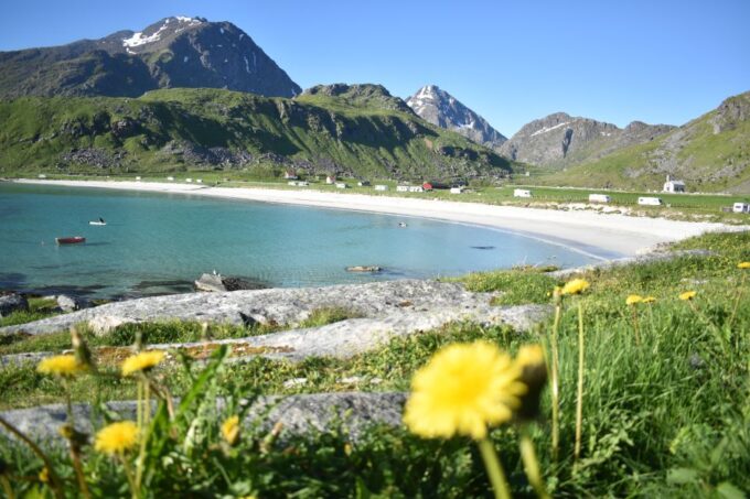 From Leknes: Private Lofoten Islands Tour With Transfer - White-sand Beaches Exploration