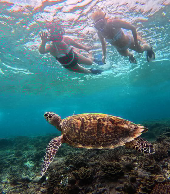 From Lembongan: 1-Day Nusa Penida Snorkeling + Private Boat - Meeting Point and Timing