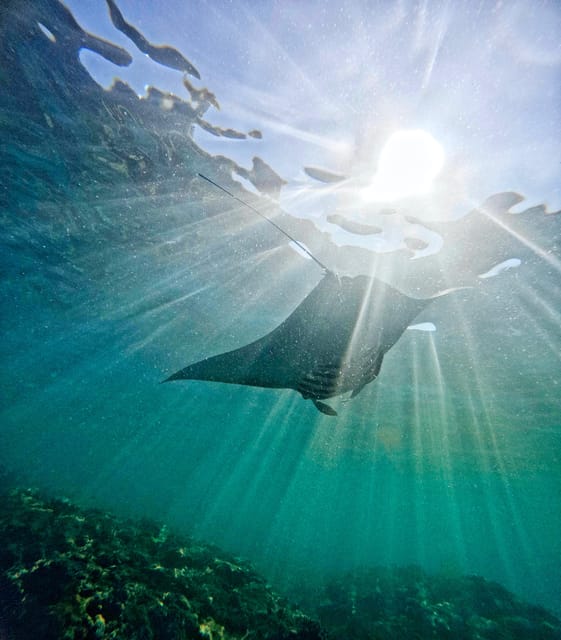 From Lembongan: 1-Day Nusa Penida Snorkeling + Private Boat - Weather and Cancellation Policy