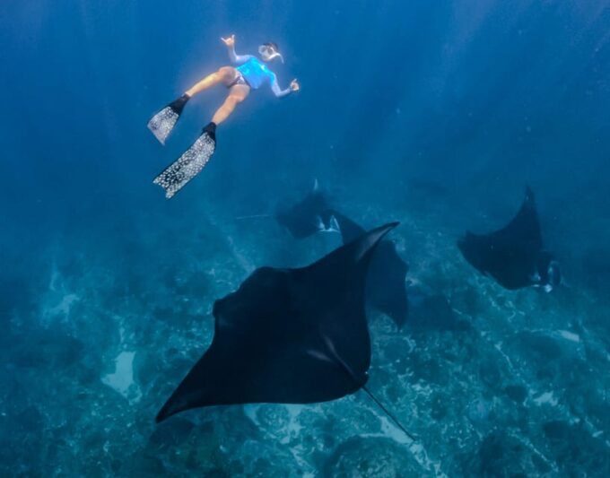 From Lembongan: 1-Day Nusa Penida Snorkeling + Private Boat - Frequently Asked Questions