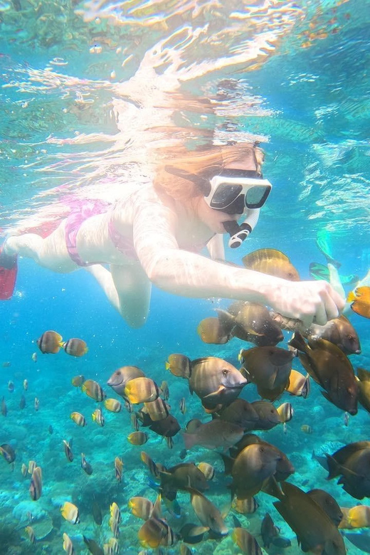 From Lembongan: Full Day Private Snorkeling Nusa Penida - Key Points