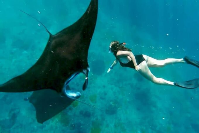 From Lembongan: Full Day Private Snorkeling Nusa Penida - Customer Ratings