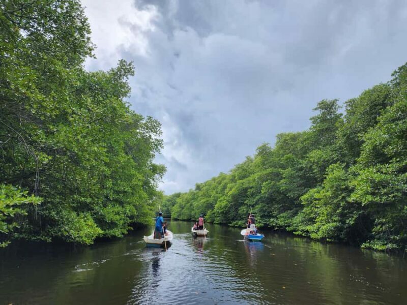 From Lembongan: Kayak/Paddleboard/Boat Mangrove Tour - FAQ