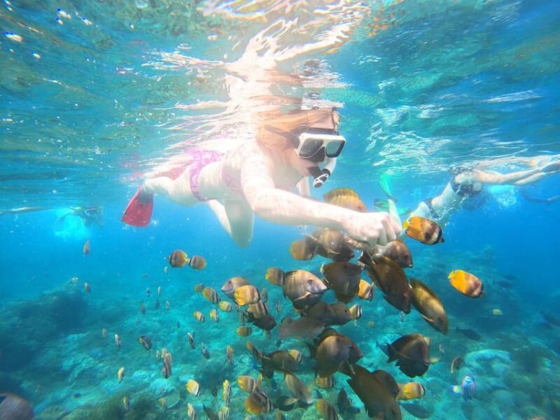 From Lembongan: Private West Penida Tour and Snorkeling - Key Points